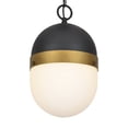 thumbnail image 4 of Crystorama Lighting - One Light Outdoor Pendant - Outdoor Pendant - Capsule -, 4 of 12