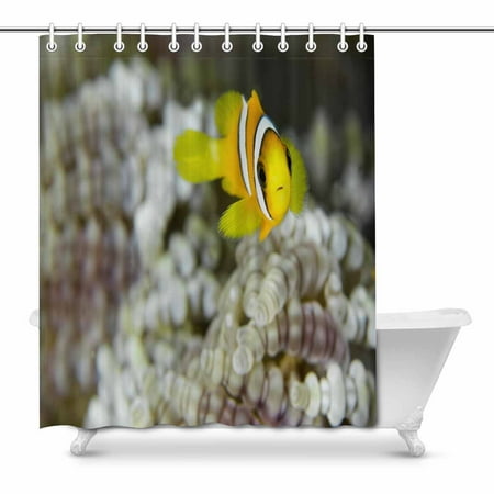 Pop Clown Fish Sea Shower Curtain Bathroom Decor Set 66x72 Inch