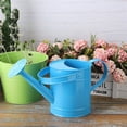 thumbnail image 6 of Iron Watering Can For Outdoor Indoor Plants, Plant Watering Can For Garden Flower, 6 of 17
