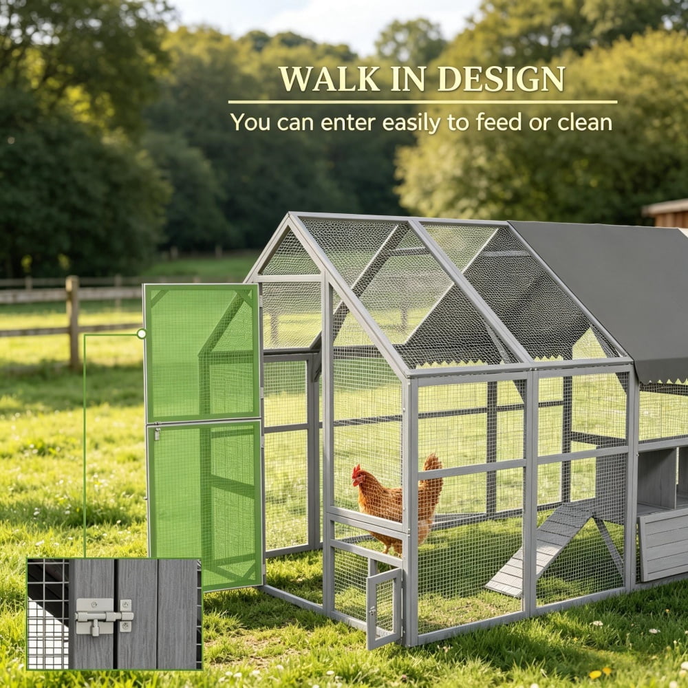 Chicken Coop