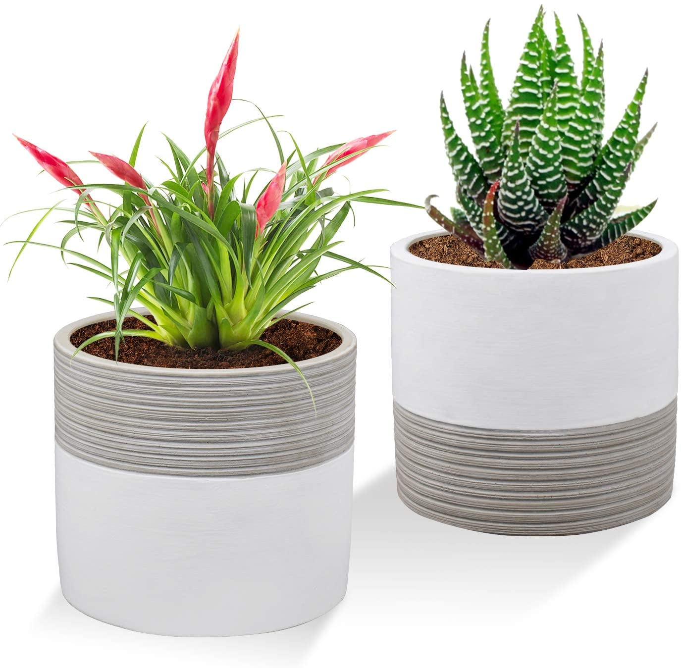 5 Inch Concrete Succulent Flowerpot Bonsai Container with Drainage Holes Cement Planters Pots for Plants Indoor POTEY 054902, Set of 2, Plant NOT Included 