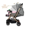 thumbnail image 2 of Carriola De Paseo Con Llantas Reforzadas Noni Is-555 T, 2 of 6
