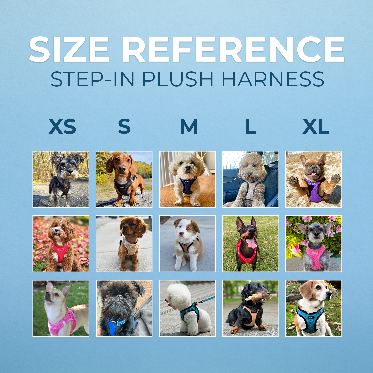Voyager Step-In Plush Pet Harness, Turquoise, Small photo 2