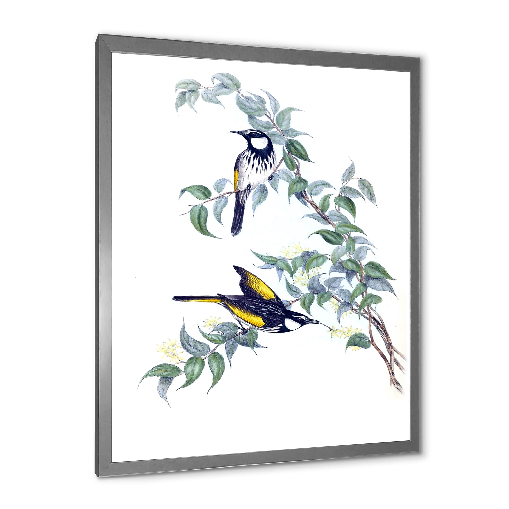 Designart 'Ancient Australian Birds On A Branch' Traditional Framed Art Print