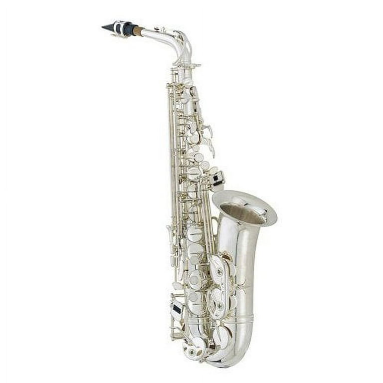 Essential Rock Silver Alto Saxophone Pack - Includes Alto Sax w/Case &  Accessories, Essential Rock Play Along Book 