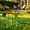 5pcs-K, variant on Lethargic Ceramic Outdoor Bird Bath with Flower and Bee Theme