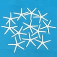 thumbnail image 6 of Ludlz Artificial Starfish Solid Color Decorative Resin Beach Coastal Starfish Nautical Ornament for Wedding, 6 of 6