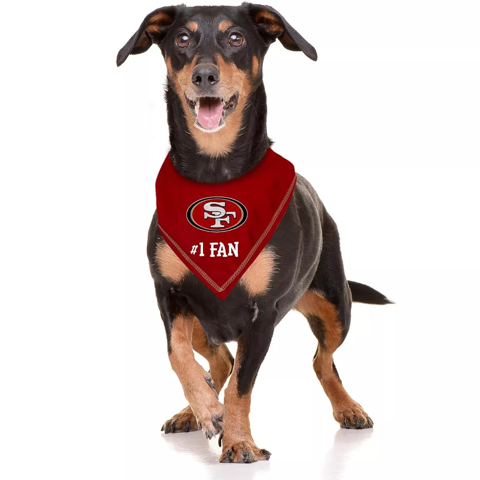Pets First NFL Personalized Tie Bandana for Dogs & Cats Customizable Dog Bandana