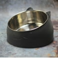 thumbnail image 4 of BESTSKY Cat Bowls,Elevated Design Cat Food Bowl,Anti-Skid Rubber Lining Cat Dishes,Black, 4 of 4