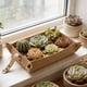 thumbnail image 5 of Tapete para trasplantar plantas, tapete de jardinería, bandeja para plantas de interior, impermeable, con correa, bandeja para macetas de interior y, 5 of 8
