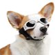 thumbnail image 1 of Gafas de sol para perros, correa ajustable para gafas de sol UV, protección impermeable para perros pequeños y medianos, 1 of 6