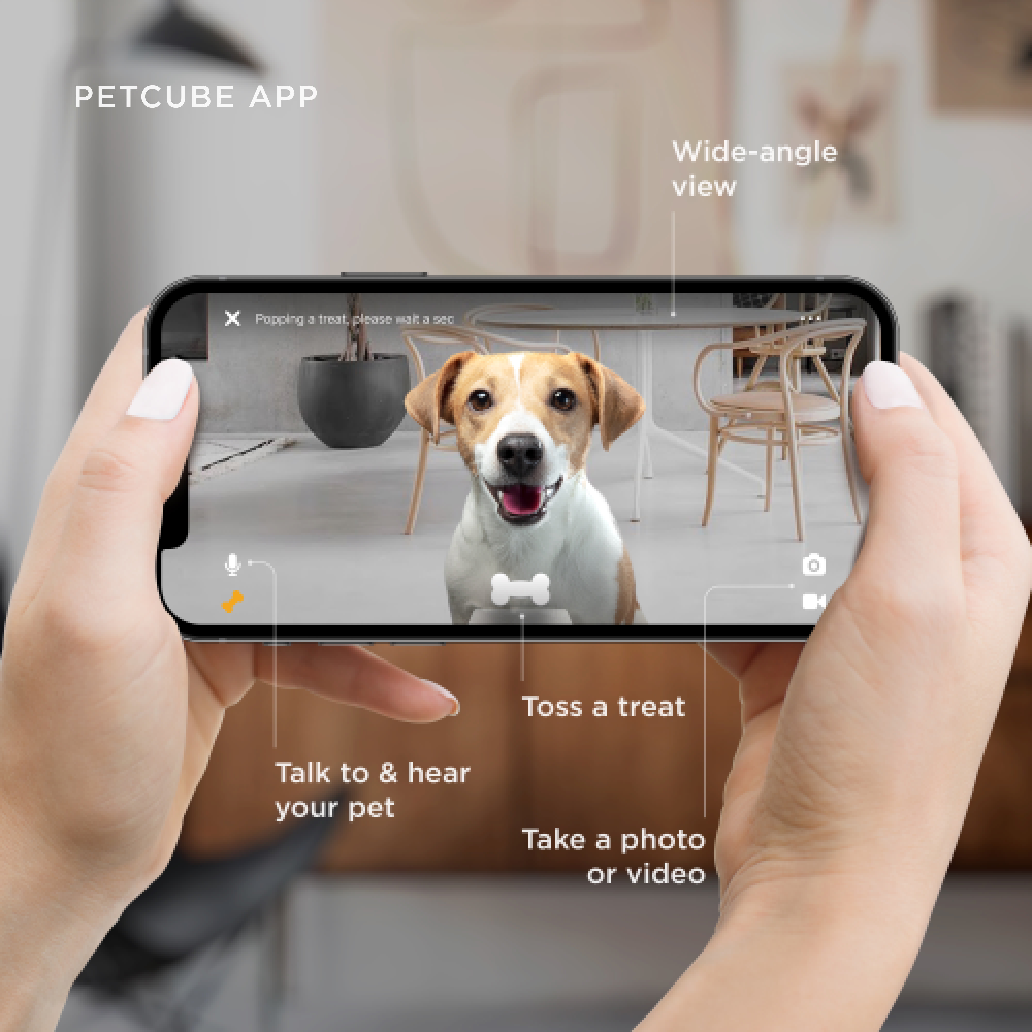 Petcube Bites 2 Lite Interactive WiFi Pet Monitoring Camera with Phone App and Treat Dispenser