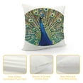 thumbnail image 4 of Autua Peacock Feathers Graphic Decorative Cushion Throw Pillow Cover for Home Sofa, Soft and Durable, Aesthetic Decor, 1PC 18x18in, 4 of 5