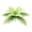 E, variant on Artificial Dieffenbachia Foliage, Realistic Faux Greenery, 17 Inch Lifelike Plant for Entryway Patio Garden Landscaping, UV Resistant, LLLDMXY