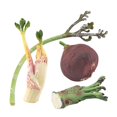 thumbnail image 3 of 4 accesorios de simulación de verduras, verduras decorativas realistas para centro de mesa. Estilo B, 3 of 9