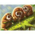 thumbnail image 1 of Taladro Pintura Diamante (DF3871) 5D DIY Animal Completo Punto de Cruz Mosaico Craft Kit 45x60cm Hugtrwg Para estrenar, 1 of 1