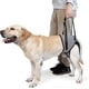 thumbnail image 1 of Dog Sling For Large Dogs Hind Leg Support To Help Rehabilitate The Hind Limbs Of Elderly Dogs With Weak Hind Legs Disabilities-xinhan, 1 of 5