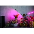 thumbnail image 4 of Great Value 2-Head Flexible LED Clamp Grow Light, 10W Selectable Spectrum, 4.75", 4 of 10