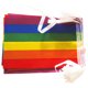 thumbnail image 1 of unbranded Banderín Decorativo Arcoíris Para Fiesta Material Resistente Sin Desvanecer, 1 of 8