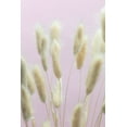 thumbnail image 2 of 1x Studio III 23x32 Gold Ornate Wood Framed with Double Matting Museum Art Print Titled - Bunny Grass Pink 01, 2 of 4