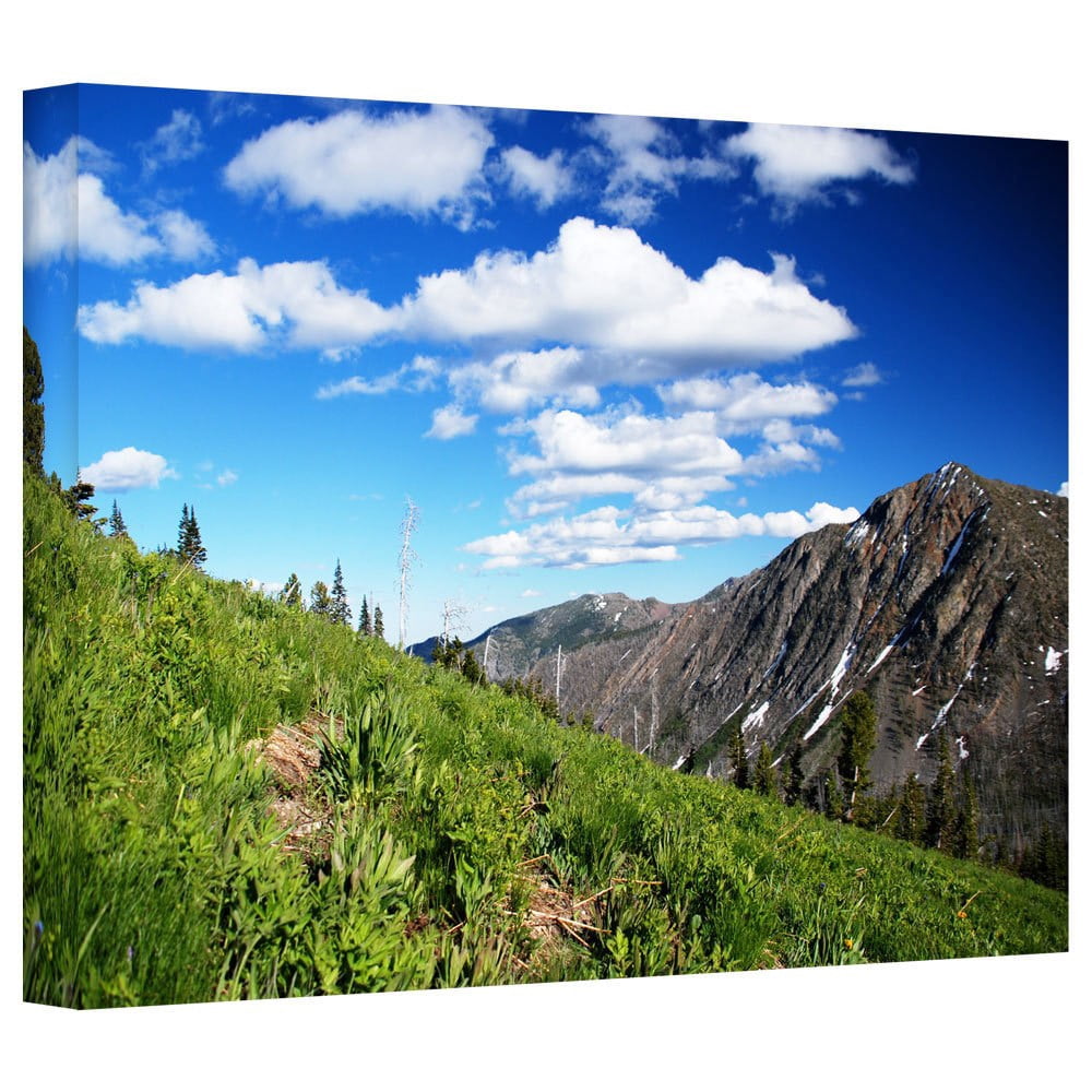 ArtWall Dan Wilson "Mountain Meadow  " Gallery-Wrapped Canvas
