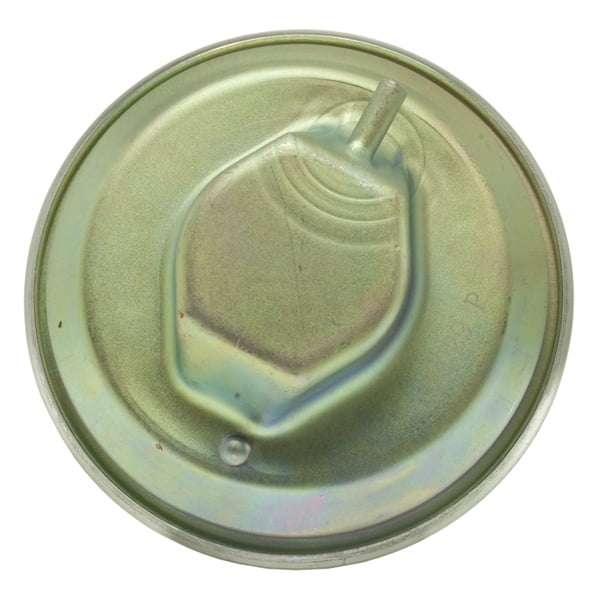 Exhaust Gas Recirculation (EGR) Valve