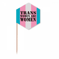 thumbnail image 1 of Trans Woman Support LGBT Transgender Toothpick Flags Cupcake Picks Party Celebration, 1 of 3