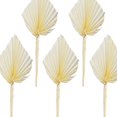 thumbnail image 1 of 5 piezas de hojas de palma secas boho con tropical grande selva seca EstiloB Gloria Ramo seco, 1 of 6