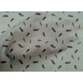 thumbnail image 4 of oneOone Cotton Cambric Fabric Bird Feather Print Fabric by The Yard 56 Inch Wide, 4 of 4