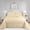 Champagne, variant on 3 Piece Lightweight Quilted Bedspread Set, Breathable Floral Damask Bedding with Pillow Shams, Machine Washable All Season Quilt for Queen/King Bed