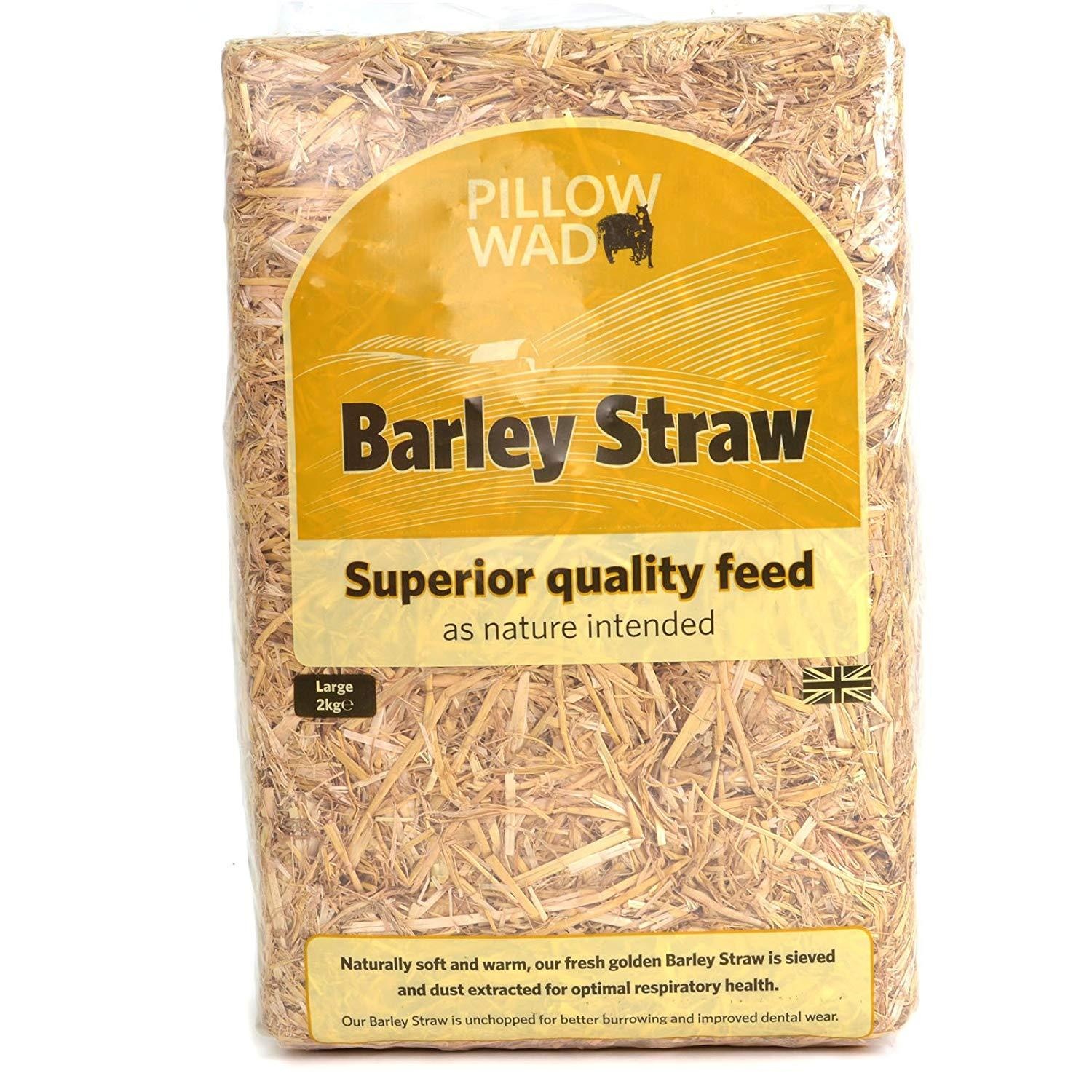 Pillow Wad Barley Straw/Hay Small Pet Feed/Bedding Walmart Canada