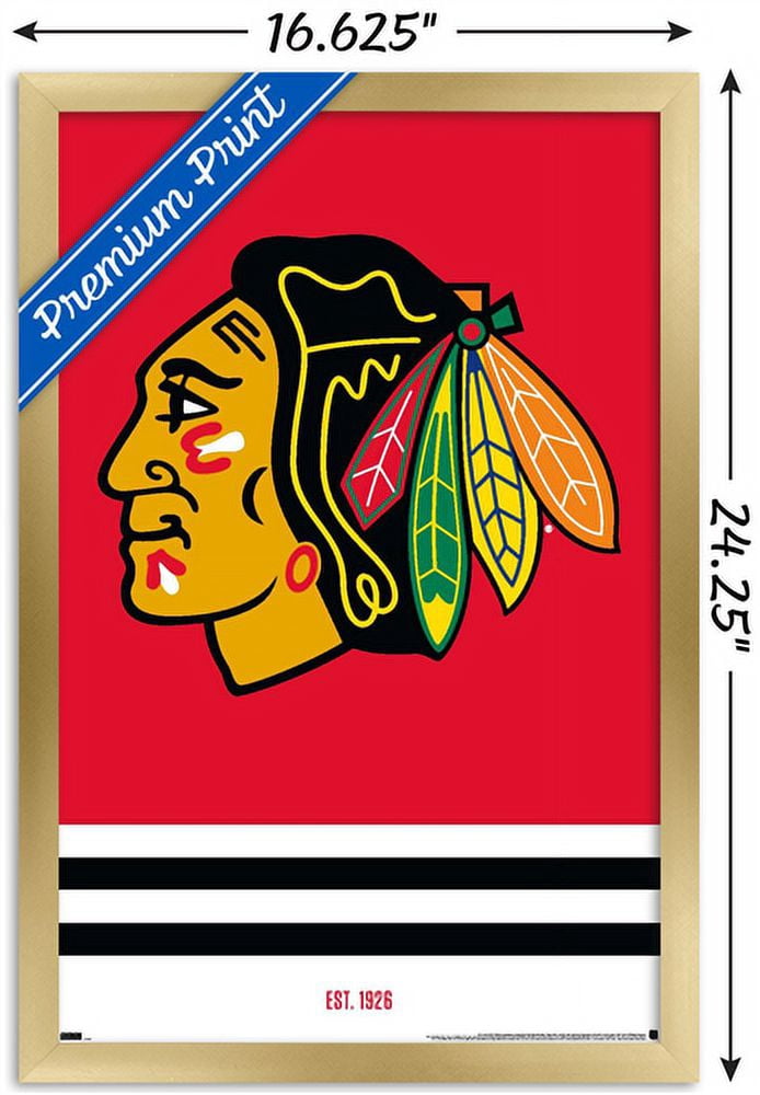 NHL Chicago Blackhawks - Logo 21 Wall Poster, 14.725" x 22.375", Framed