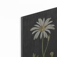 thumbnail image 2 of Luxe Metal Art 'Naturalist Bloom Study' by lettered & lined, Metal Wall Art, 12"x16", 2 of 9
