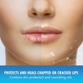 thumbnail image 5 of Bálsamo labial Natural Ice Original SPF 15, 4,7 ml (paquete de 48), 5 of 5