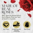 thumbnail image 4 of GLAMOUR BOUTIQUE 7-Piece Forever Flowers in a Box - Preserved Roses, Immortal Roses That Last a Year - Eternal Rose Preserved Flowers for Delivery Mothers Day & Valentines Gift for Her Birthday - Red, 4 of 9