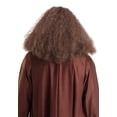 thumbnail image 4 of GameKeeper Wizard Wig and Beard, 4 of 4