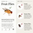 thumbnail image 4 of Fruit Fly Trap Wondercide, 160 ml, paquete de 2 unidades, apta para mascotas, 4 of 6