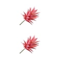 thumbnail image 2 of Billuyoard Belleza de suculentas artificiales amigable con la piel sin preocuparse por la planta artificial de irritación Type3 NO3, 2 of 6