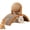 13.8 × 6 × 10.3 in, variant on Cat Scratching Ball on Stand, Wobble Ball Cat Scratcher with 360° Rotating Sisal Ball, Interactive Cats Arch Scratcher Toy for Indoor Cats, Wear