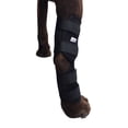 thumbnail image 5 of Labra Extra Supportive Dog Canine Rear Leg Hock Joint Wrap with Flex Straps Protects Wounds as They Heal Compression Brace Heals and Prevents Injuries and Sprains Helps Arthritis, 5 of 5