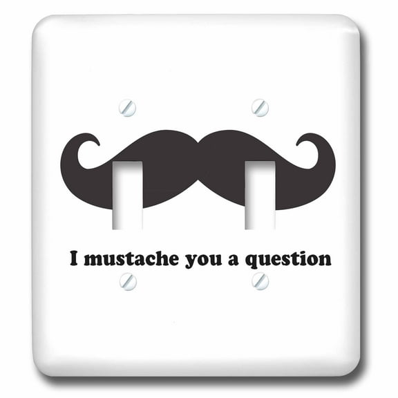 3dRose I mustache you a question - Double Toggle Switch (lsp_107316_2)