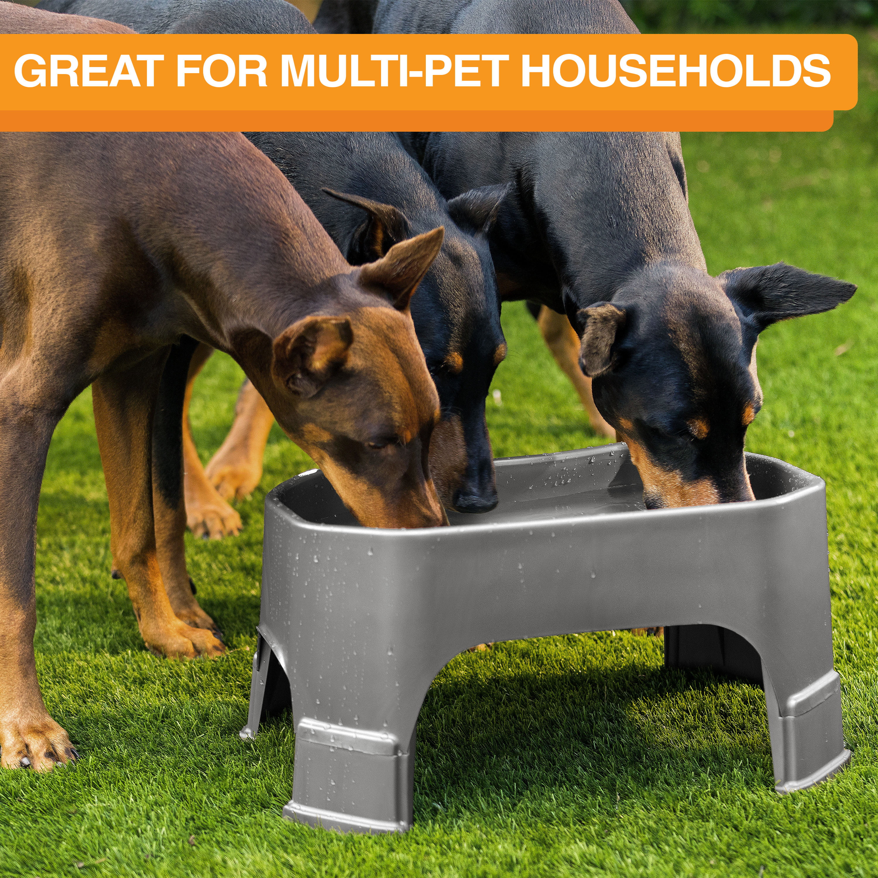 Neater Pets Giant Bowl with Leg Extensions for Dogs - Raised for Feeding  Comfort - Extra Large Plastic Trough Style Food or Water Bowl for Use  Indoors or Outdoors, Midnight Black, 2.25