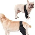 thumbnail image 3 of WE-POLUJ Front Leg Strap Brace Pet Recovery Sleeve for Canine Knee Pad Shoulder Support, 3 of 17