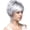 Silver Gray, variant on 12 Inch Short Layered Synthetic Wig for Women, Dark Brown Pixie Shag Wig with Wispy Bangs, Natural-Looking Fashion Wig for Daily Wear & Cosplay