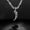 Wolf Fang (16 inches), variant on Wolf Tooth Pendant Necklace Silver Plated Stainless Steel, Unique Chain Retro Punk Necklace Statement Jewelry for Men Women with Gift Box