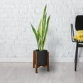 thumbnail image 6 of Casual Home Mid-Century Modern Wood Plant Display Stand 10" Antique Mahogany, 6 of 10