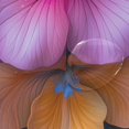 thumbnail image 4 of Yayeee Shower Curtain with Hooks 72"x72" Waterproof Fabric Bathroom Hanging Decor, Large Purple Flowers, 4 of 5