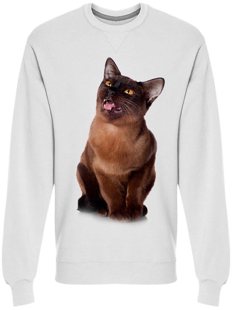 Cool Sweatshirt Hoodie Burmese Cat Colorful Tee Shirt 