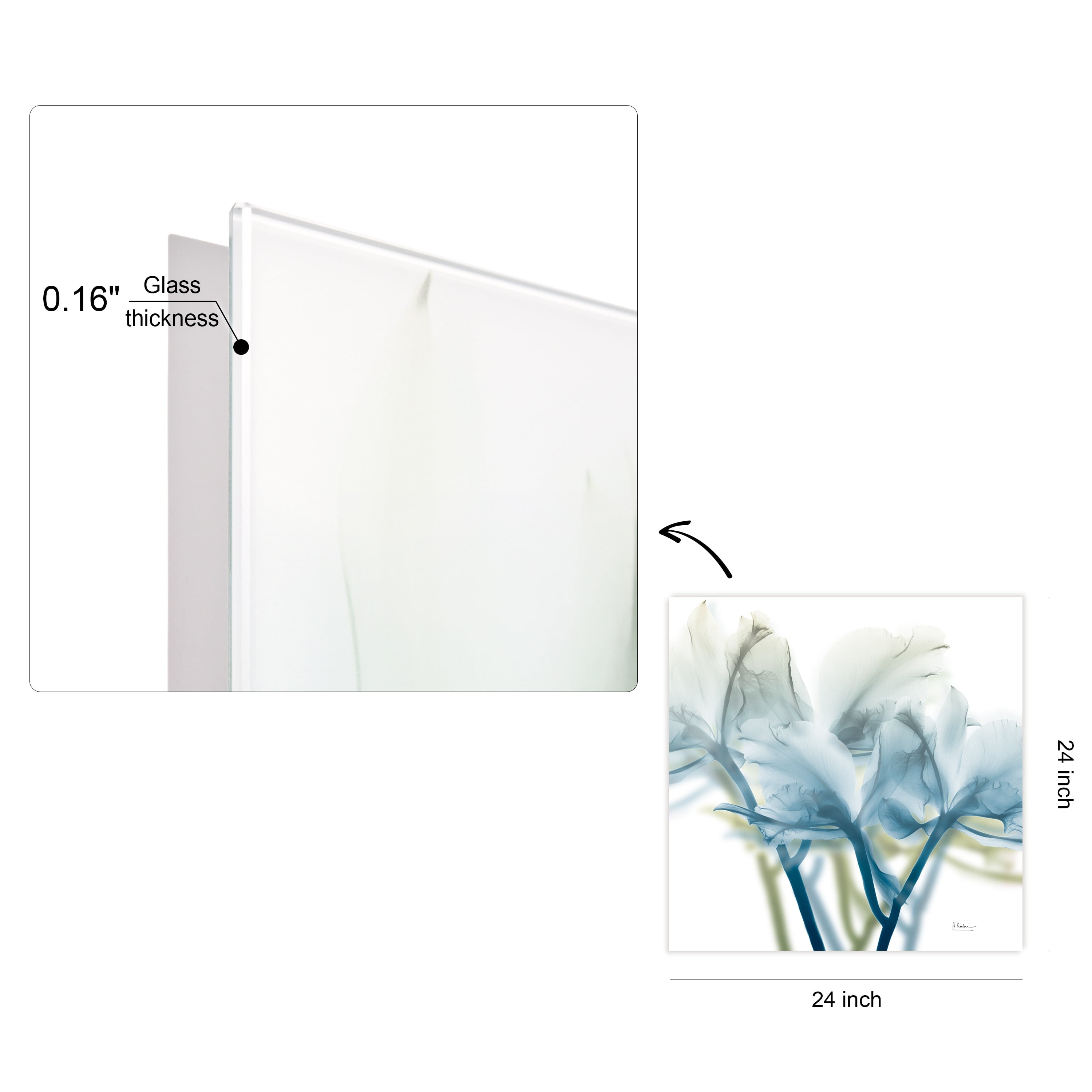 Empire Art Direct Unfocused Beauty 3 Frameless Free Floating Tempered Glass Panel Graphic Flower Wall Art, 24" x 24" x 0.2", Ready to Hang