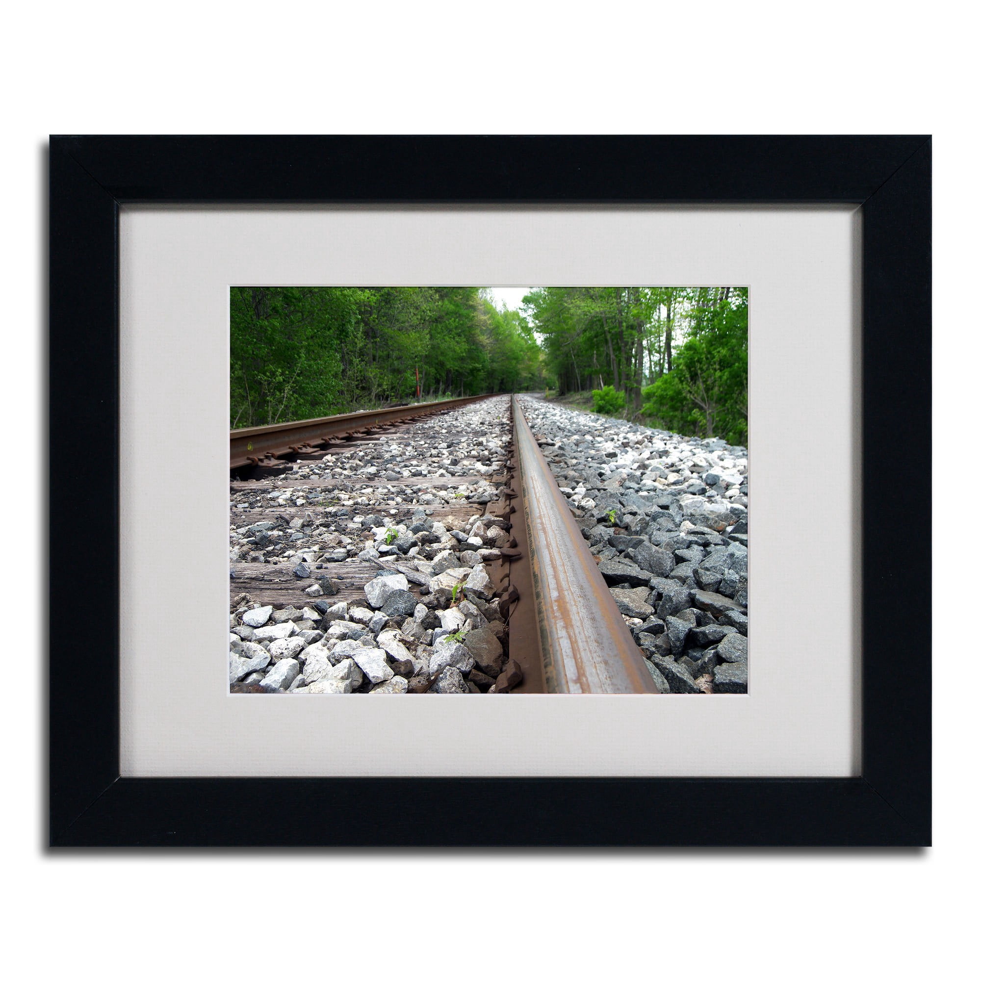 Trademark Fine Art "Guided Journey" Canvas Art by Monica Fleet, Wood Frame